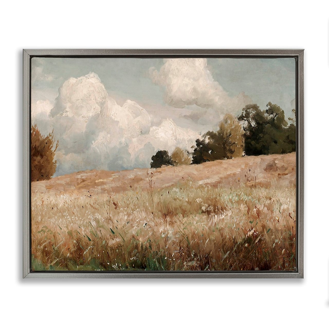 Stupell Industries Classic Cloudy Field Landscape Floater Framed Art